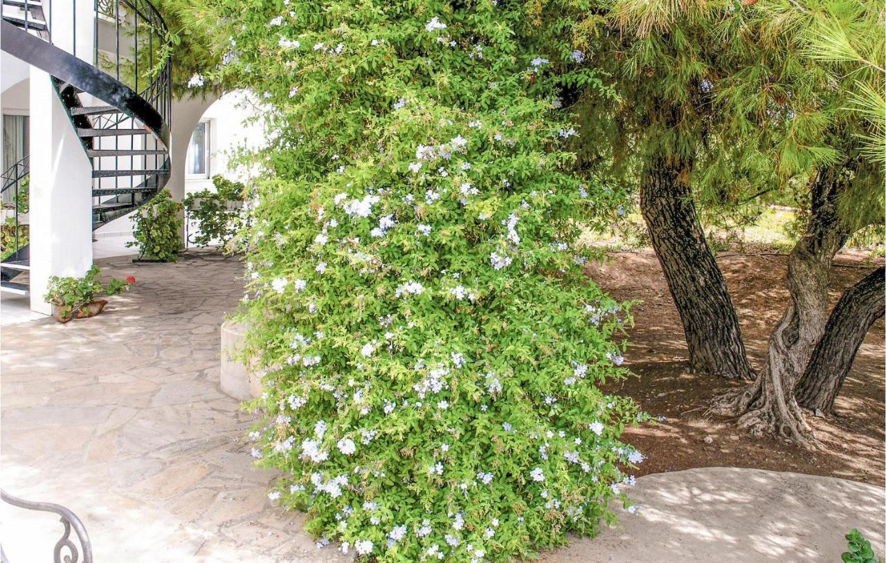 Soleiliosonne Haus Zeus Διαμέρισμα Ερμιόνη Εξωτερικό φωτογραφία